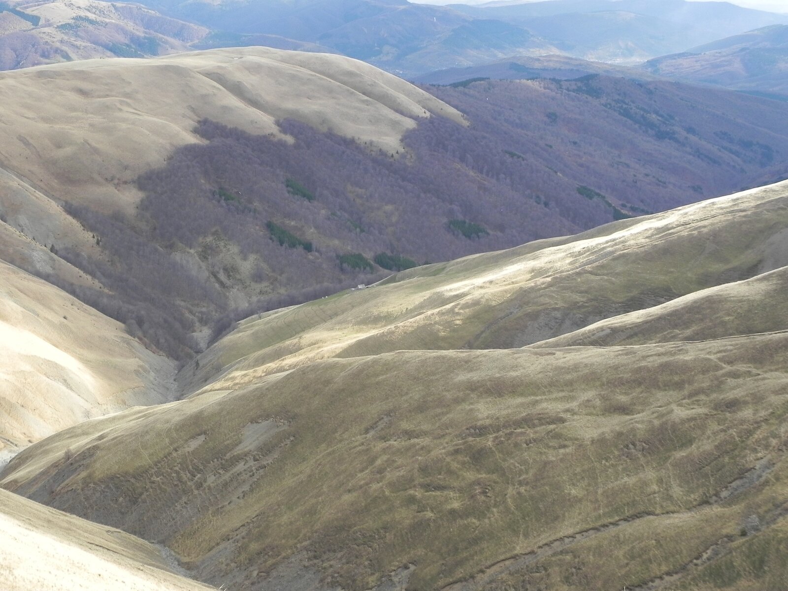 DSCN8110.JPG