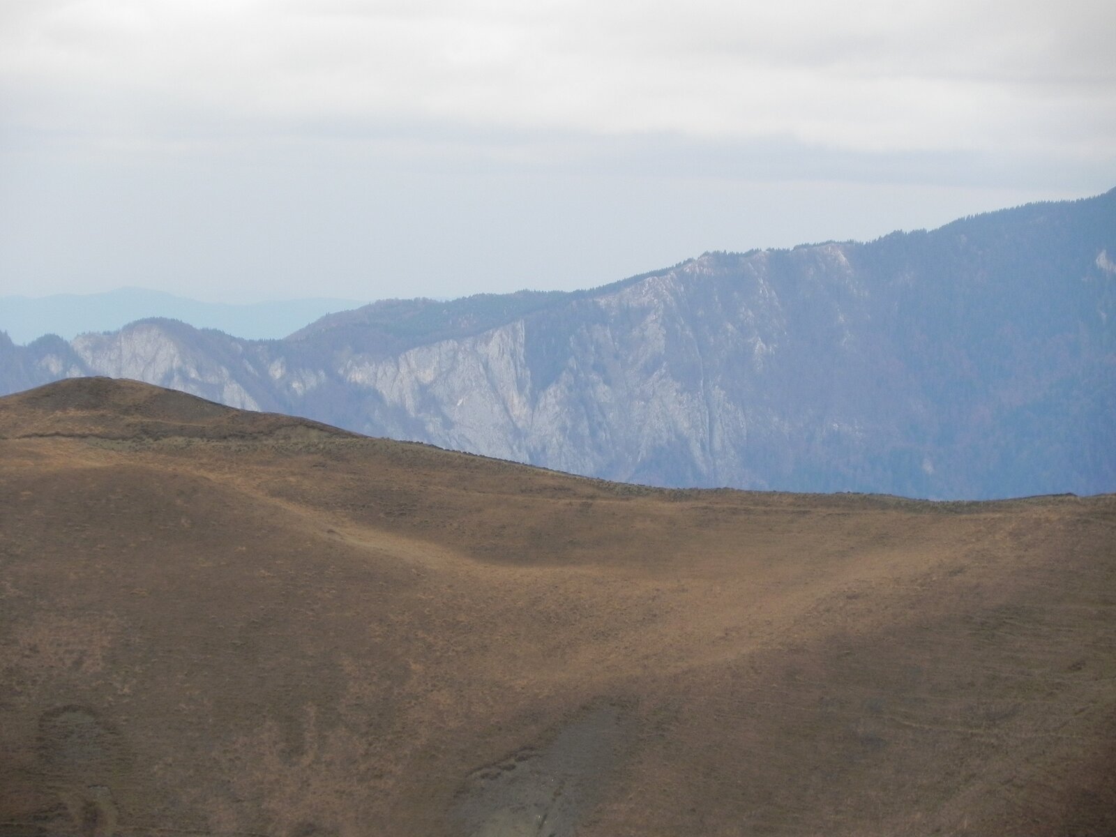 DSCN8119.JPG