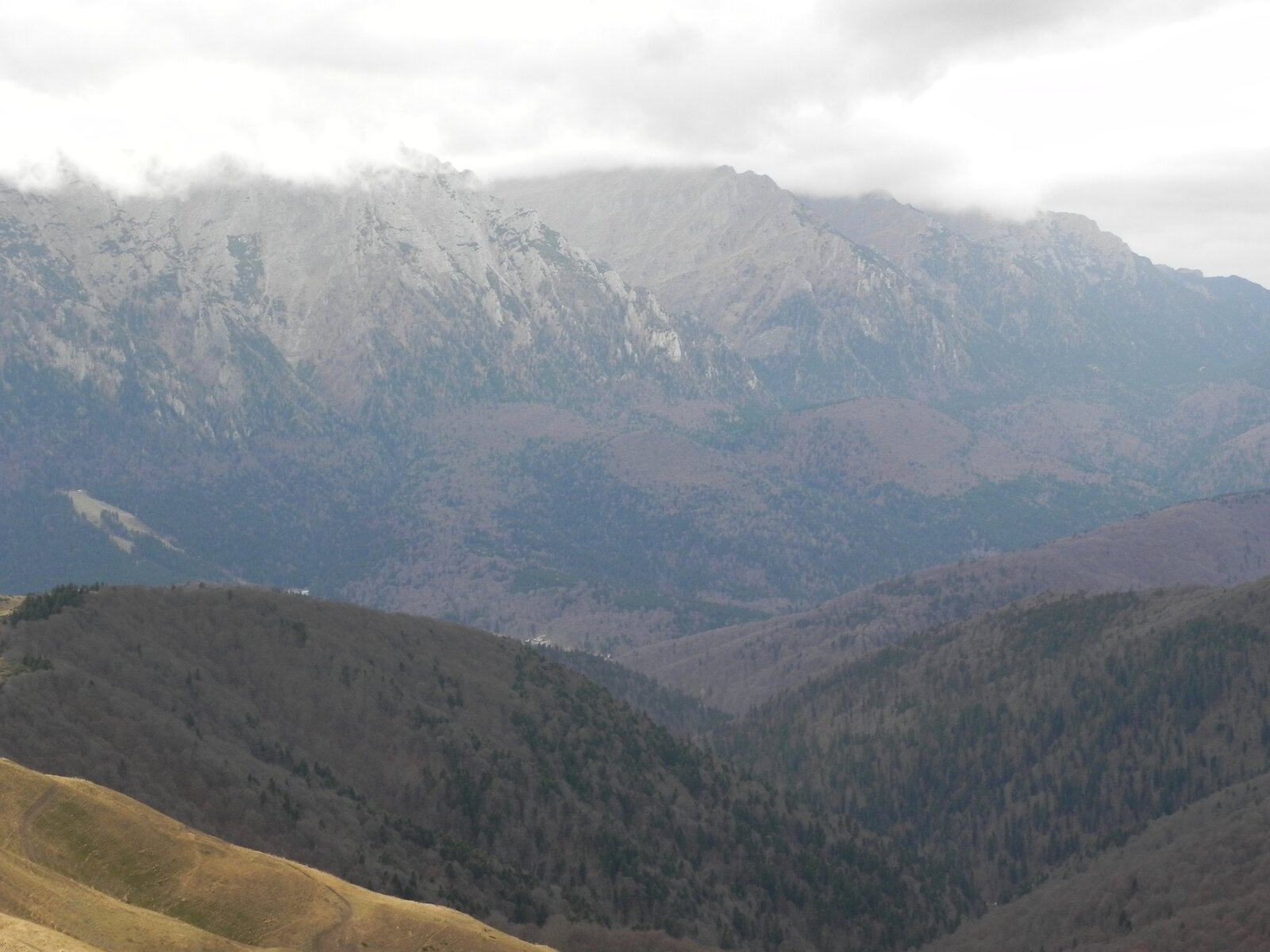 DSCN8120.JPG