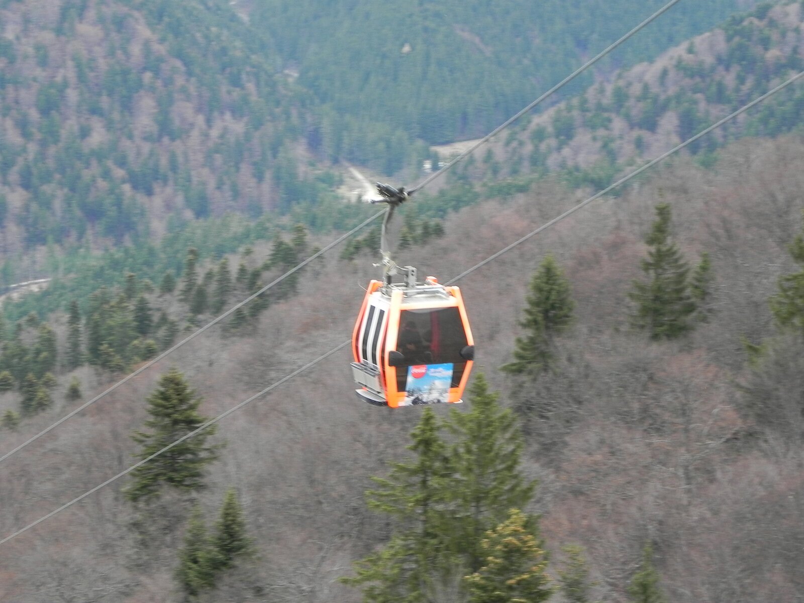 DSCN8124.JPG
