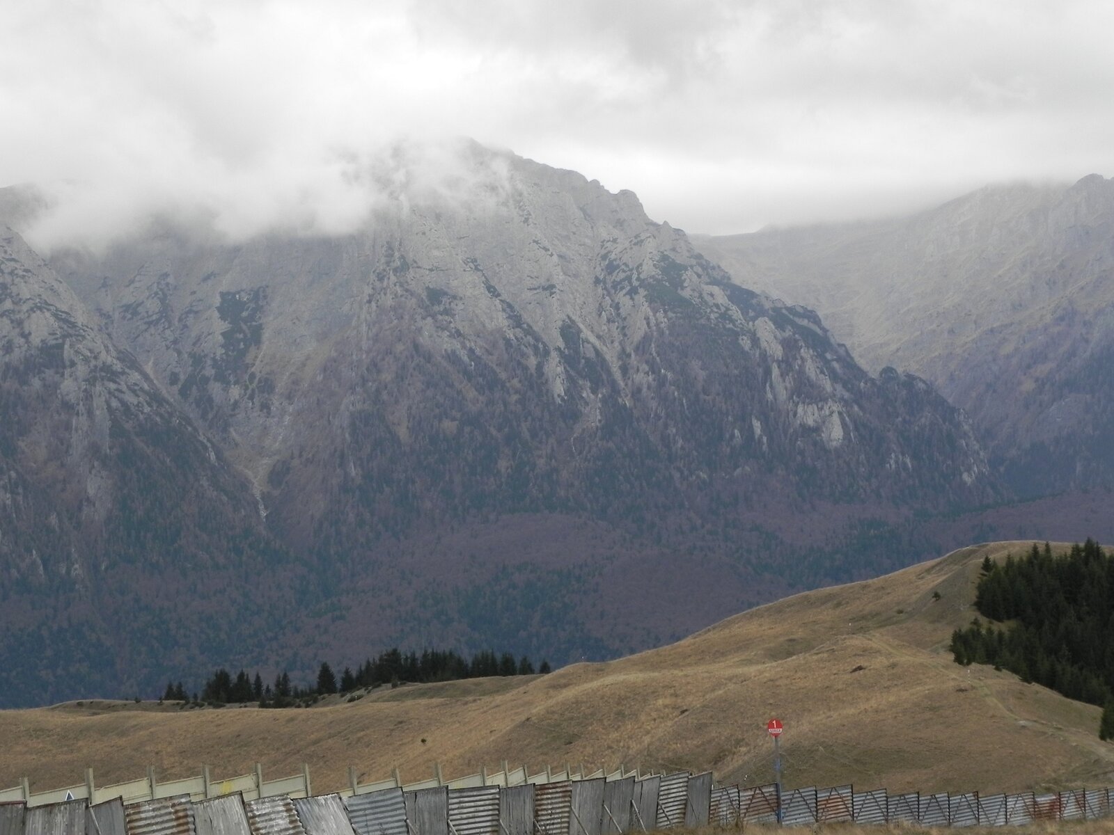 DSCN8126.JPG