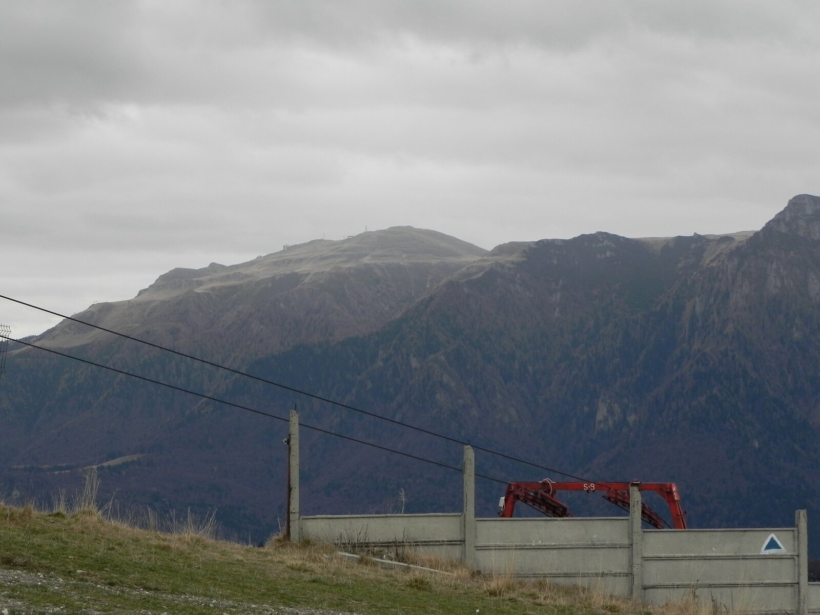 DSCN8130.JPG
