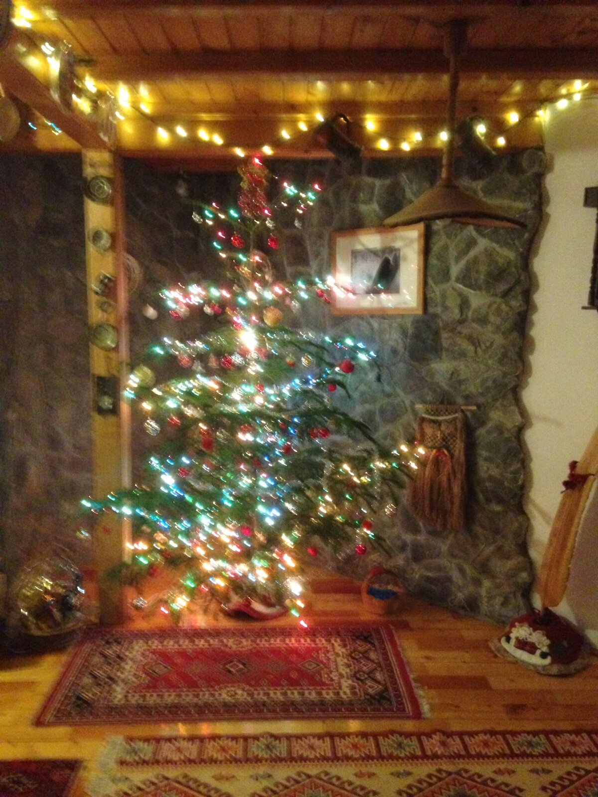 image.jpeg