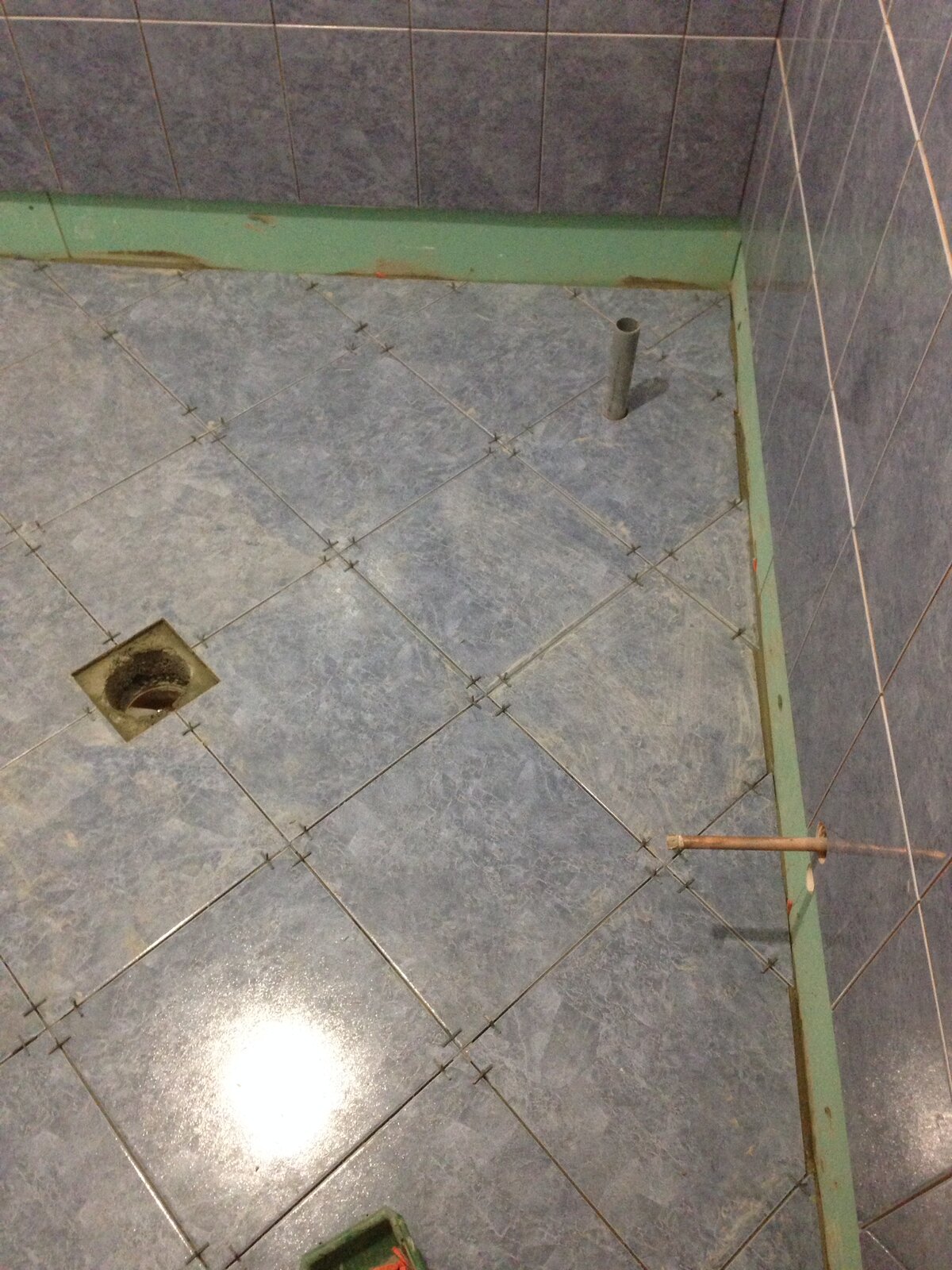 image.jpeg