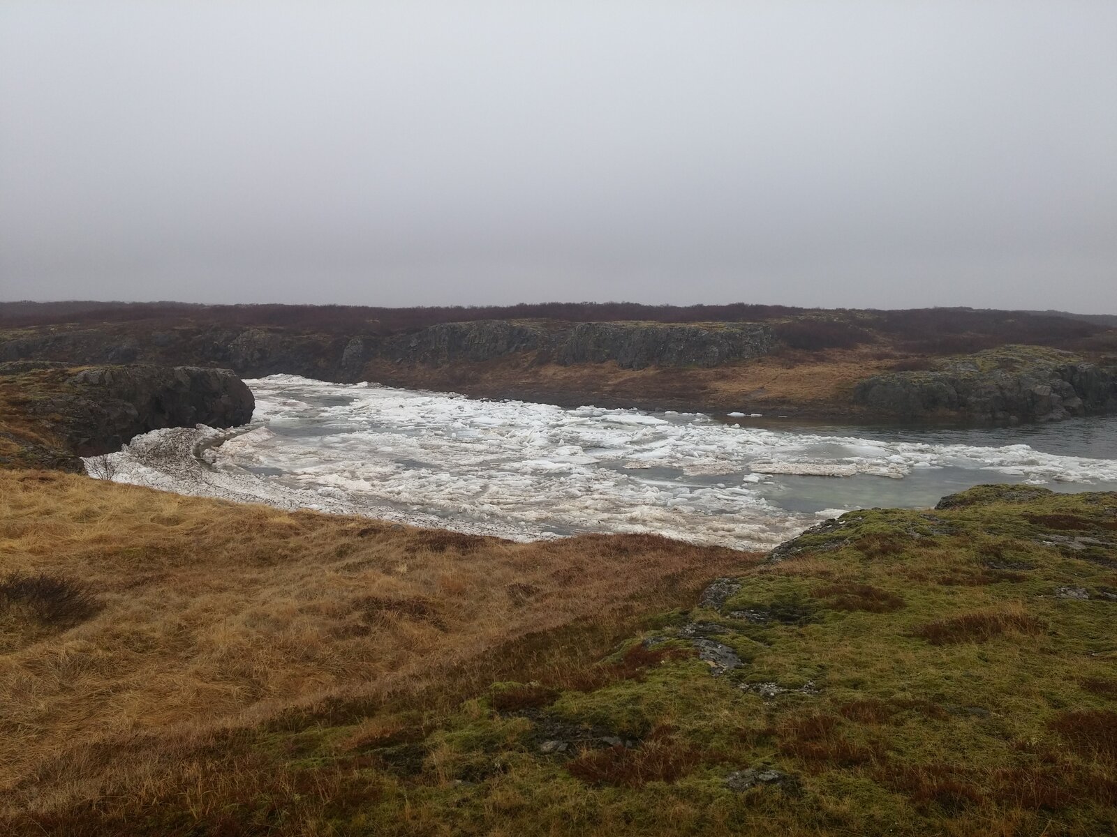 20160321_145004.jpg