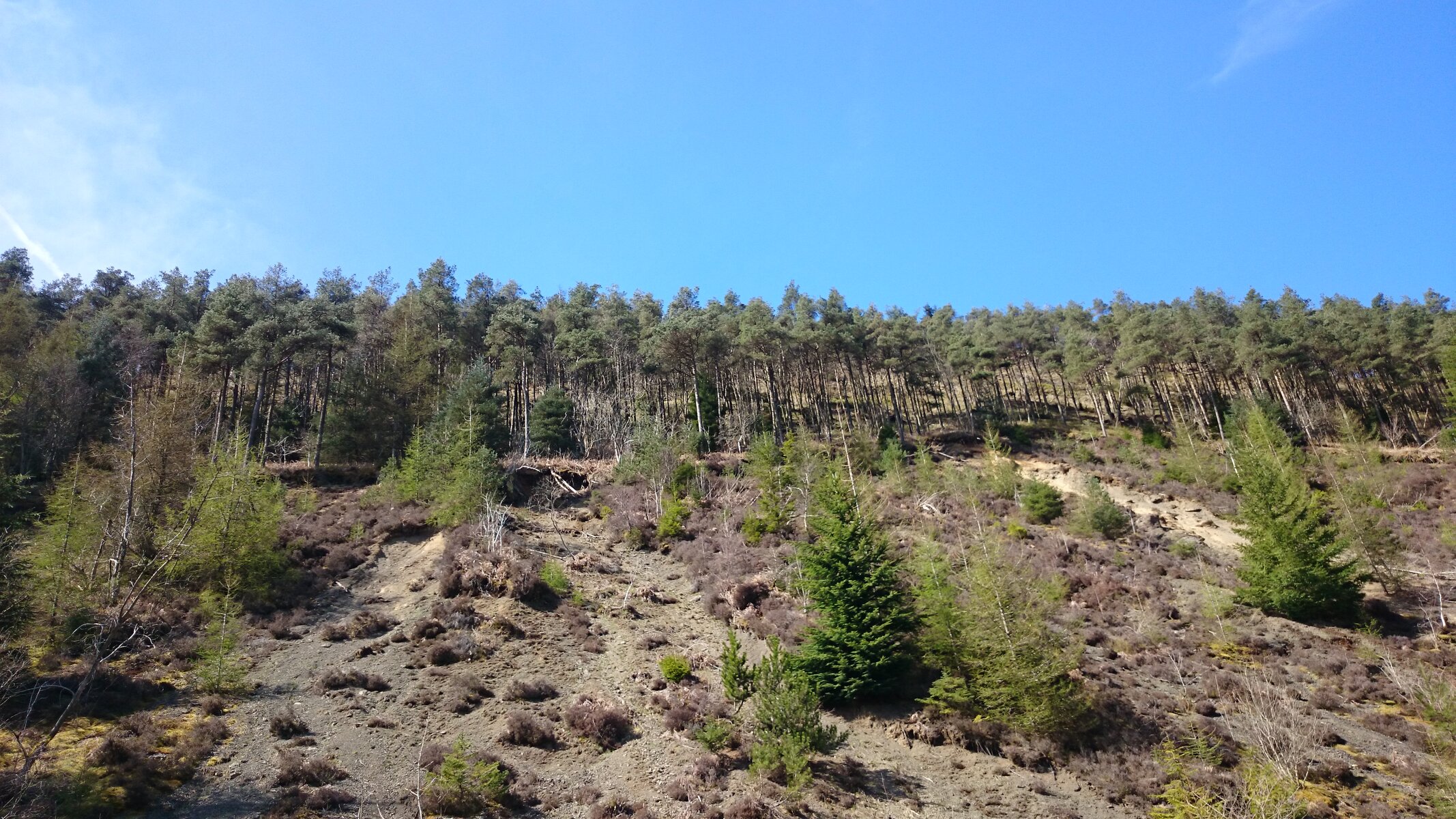 DSC_0715.JPG DSC_0715.JPG