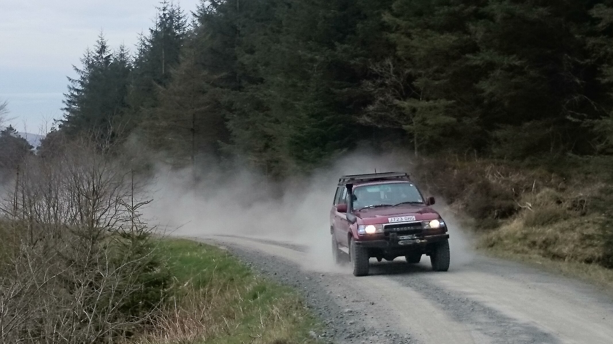 DSC_0686.JPG DSC_0686.JPG