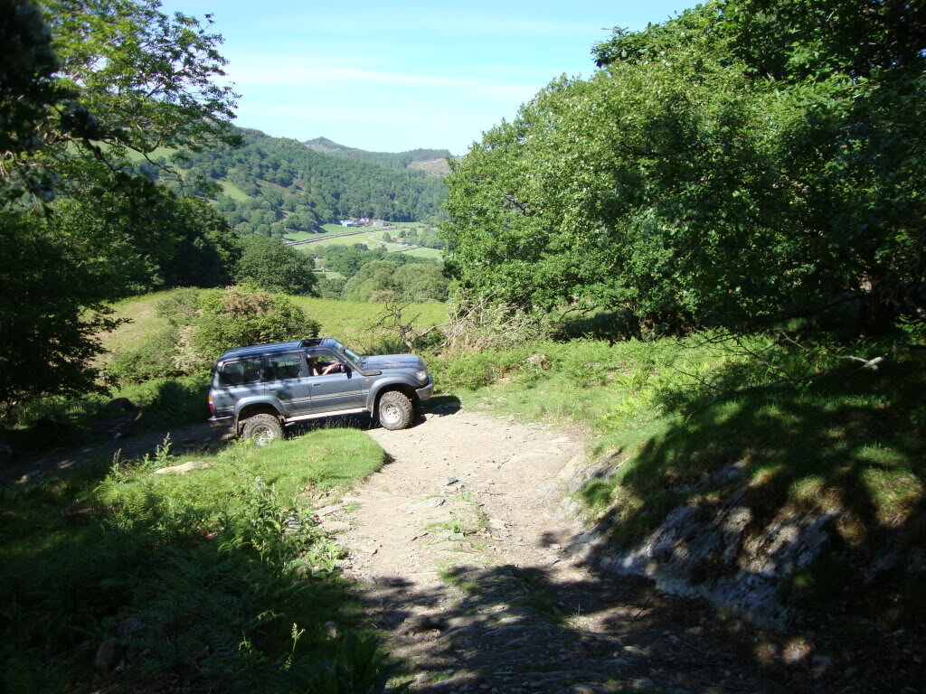 DSC01054.jpg