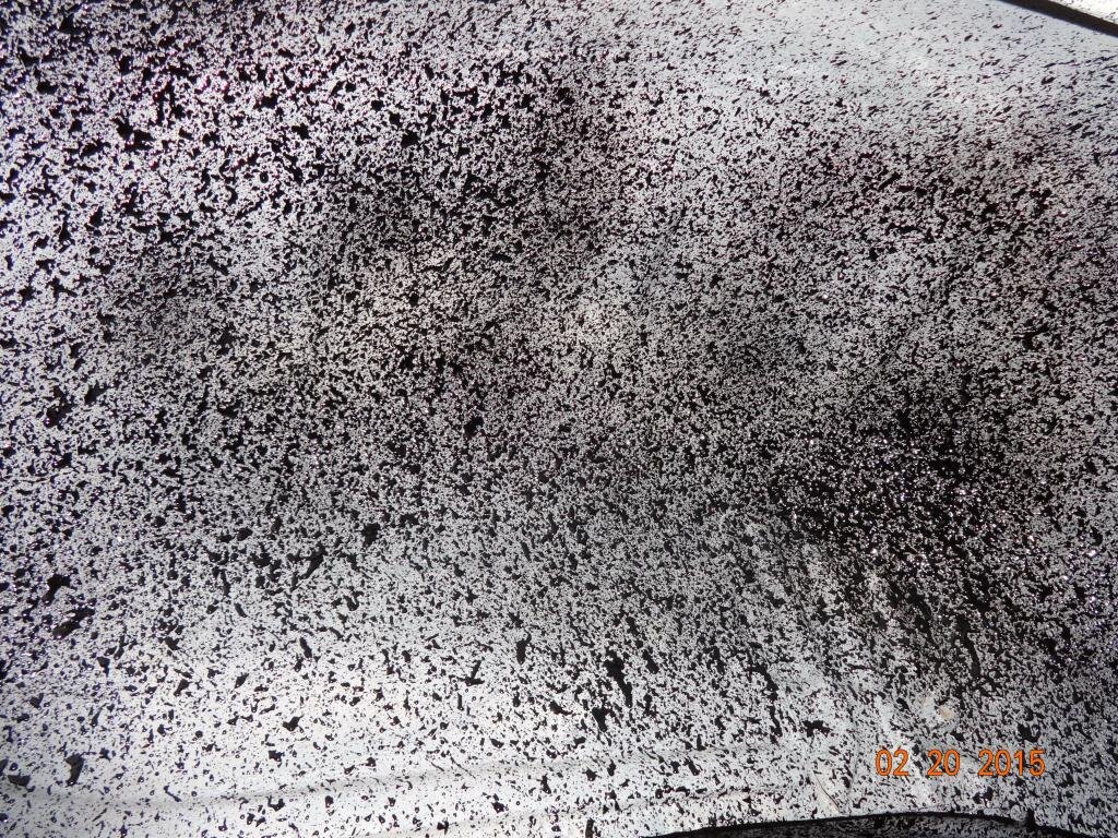 DSC00753.jpg