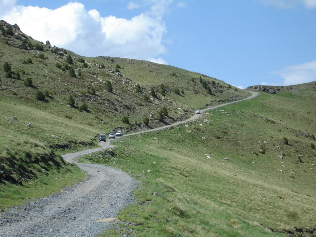 DSC02952.jpg