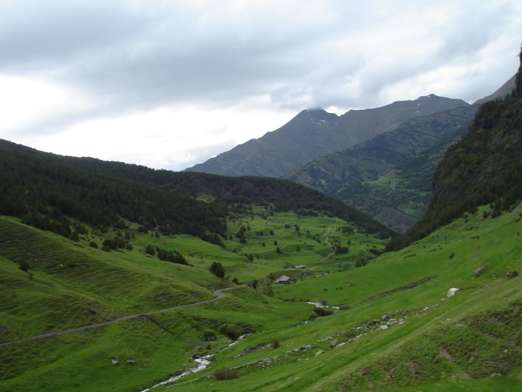DSC02967.jpg