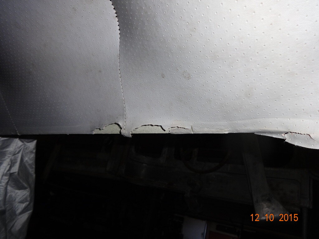 DSC02447.jpg