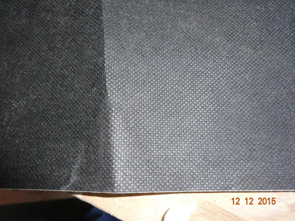 DSC02464.jpg