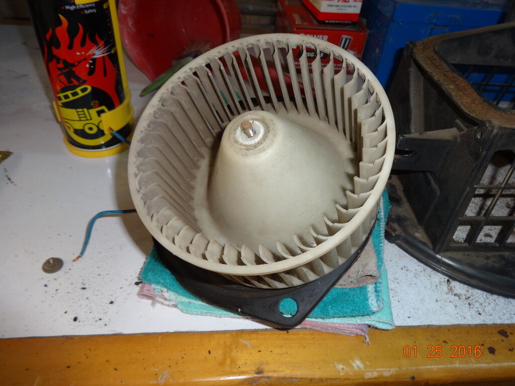 DSC02932.jpg