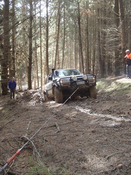 P5060514_zps36615350.jpg