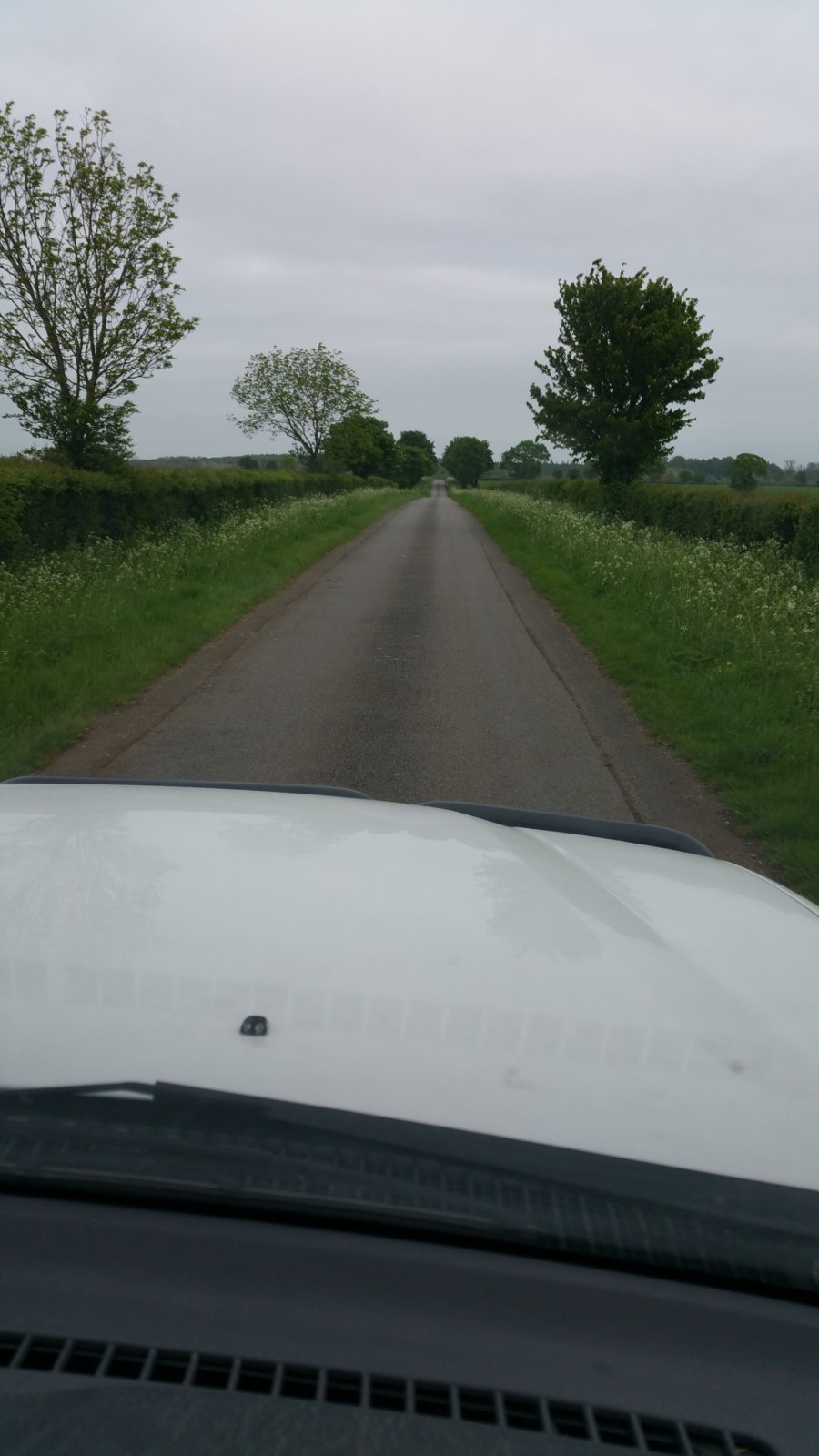 20160513_175426.jpg