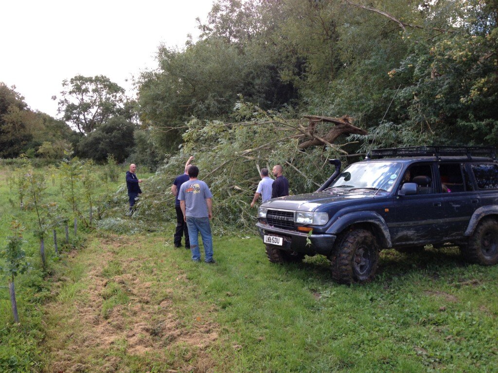 IMG_6705_zps571379bb.jpg