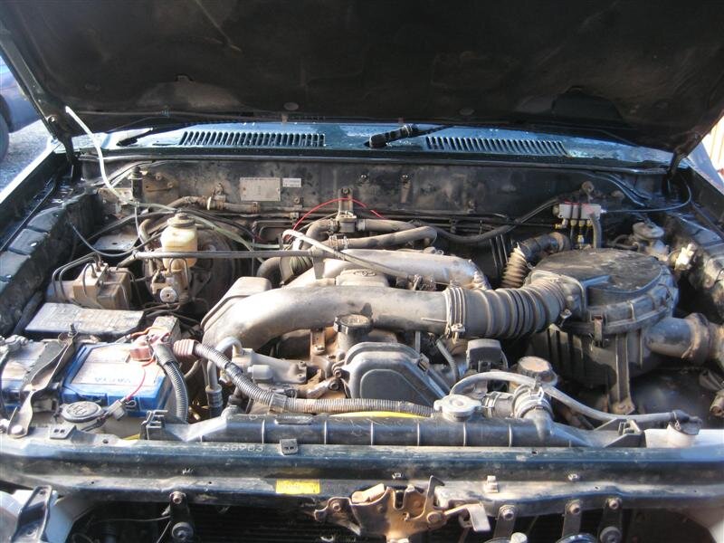 IMG_5783%20(Medium).JPG