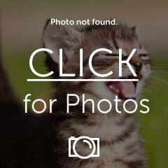 IMG_8193_zpsxk0b4xkx.jpg