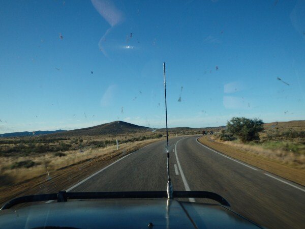 P9200037_zps4cb31d54.jpg