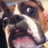 JackInacrack