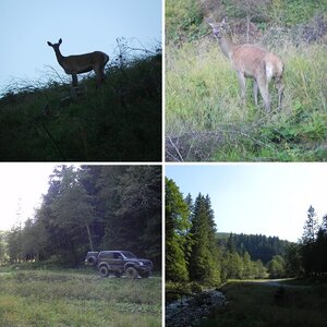 2017 Romania - LC Club Visit Comarnic - Day 4