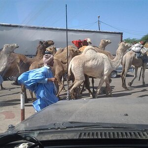 Traffic jam while waiting for ferry in Rosso