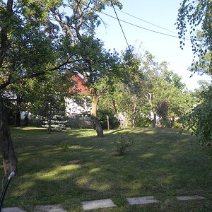 DSCN0062
