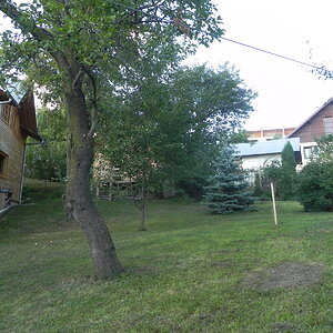 DSCN0066