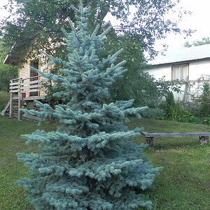DSCN0067