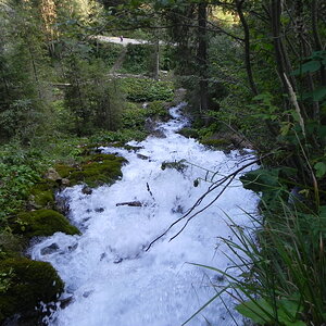DSCN0184
