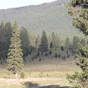 DSCN9824