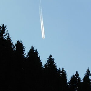 DSCN9843