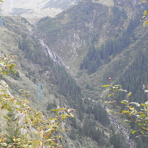 DSCN0462