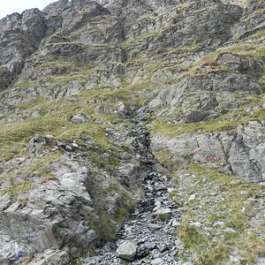 DSCN0530