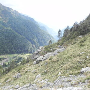 DSCN0533
