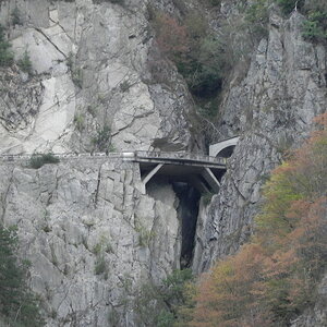 DSCN0571