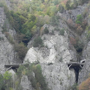 DSCN0573
