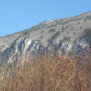 DSCN7444
