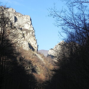 DSCN7472