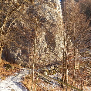 DSCN7521