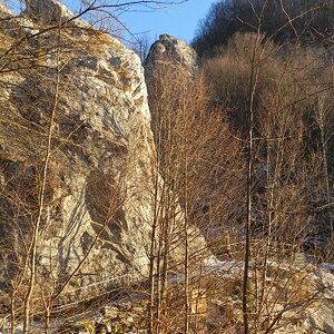 DSCN7522