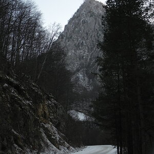 DSCN7540