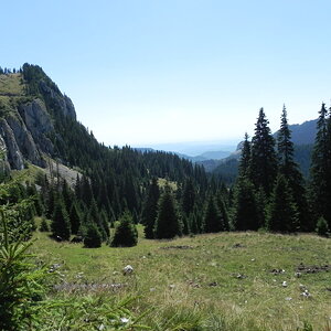 DSCN8269