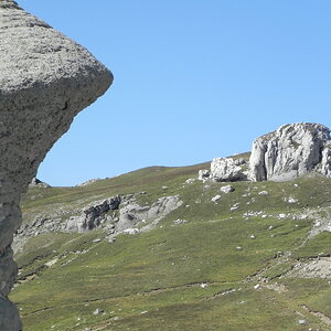 DSCN8295