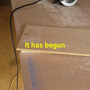 first cut
