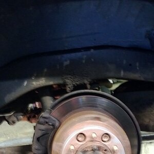 WP_20130124_004.jpg