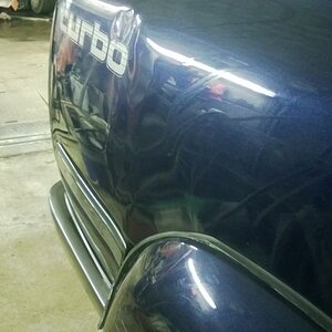 WP_20130126_016.jpg