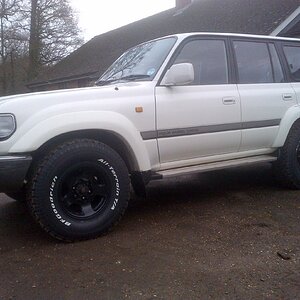 New Forest-20130126-00010.jpg