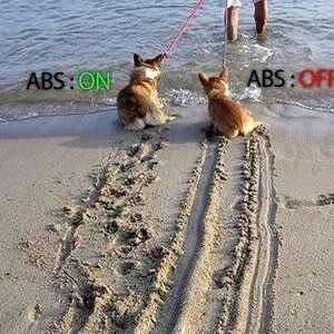 ABS.jpg